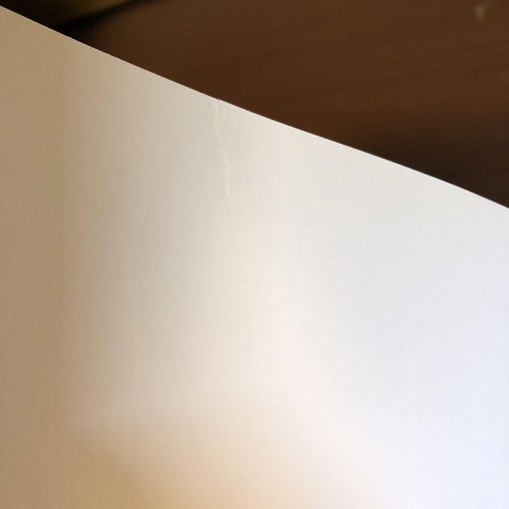 [ИСПОЛЬЗОВАННЫЙ] Лартиг: Книга с фотографиями «Жизнь в цвете» (английский)