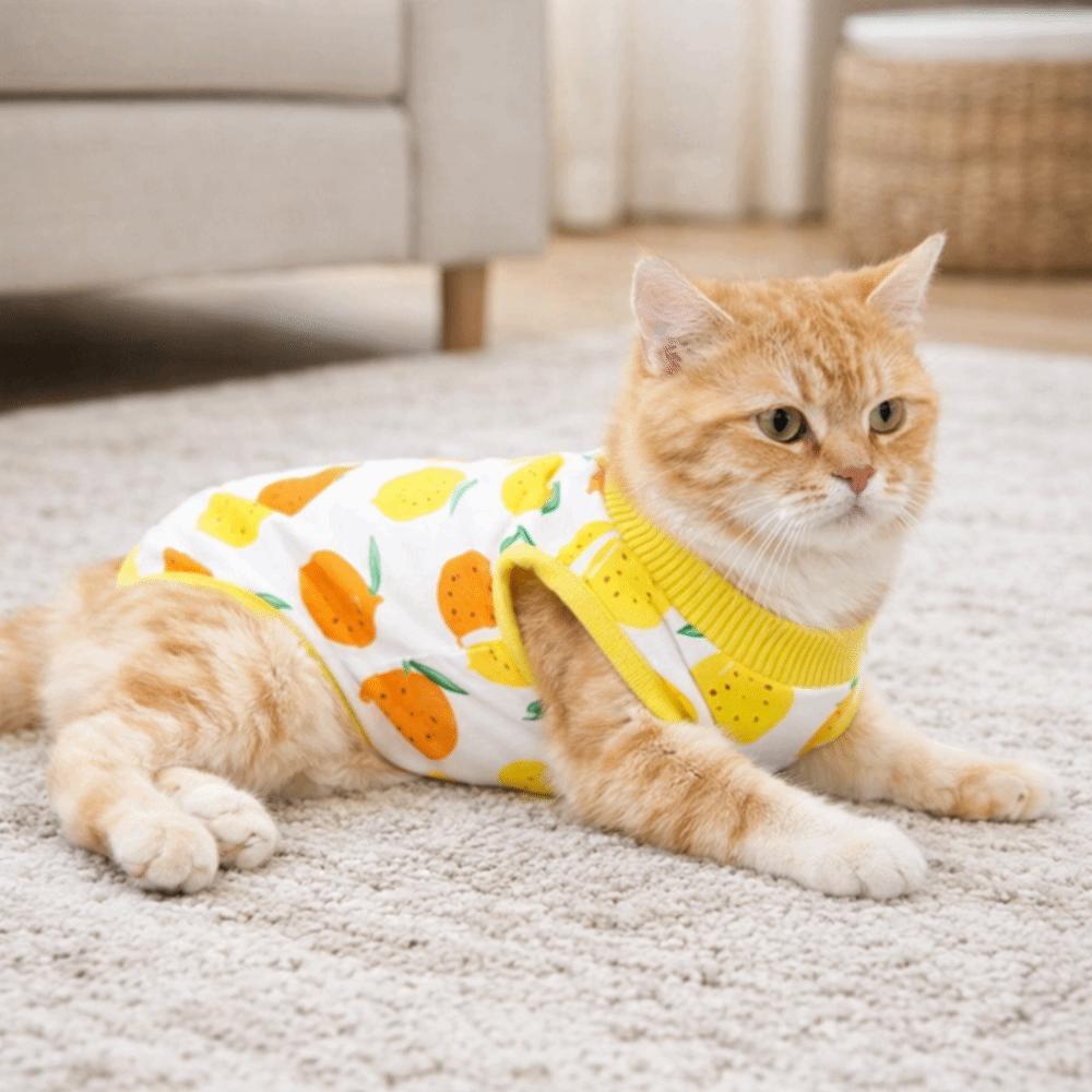 Fruit Printed Cat Recovery Clothing High Elasticity Breathable Pet Anti-Licking Vest Soft Comfortable Pet Weaning Suit