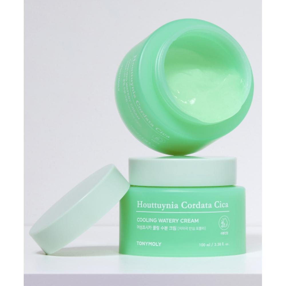 Tonymoly [Большой объем] Охлаждающий увлажняющий крем Houtseongchoshika 100 мл