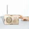 DIY Radio Model Science Kits Experiment Project Assembly Classroom Teaching Building Set for
