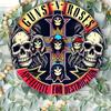 D Flat Guns N Roses Appetite For Destruction Round Tin Sign  Vintage Rock Band Skull Art Metal Wall Decor for Man Cave Bar