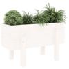 VidaXL Planter White 62x30x38 Cm Solid Pine Wood 825178
