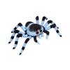 Printed Spider Doll Pillow Plush Toy Children's Companion Gift Funny Cloth Doll