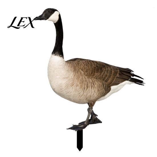 Stake Realistic Acrylic Animal Yard Stake, 2D Flat Chicken Goose Bird Garden Bunny Sign for Pathway, Patio, Lawn Outdoor Decor Decorative