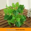 Persian Style Green Wall Hanging Grass Decoration for Indoor & Balcony Background