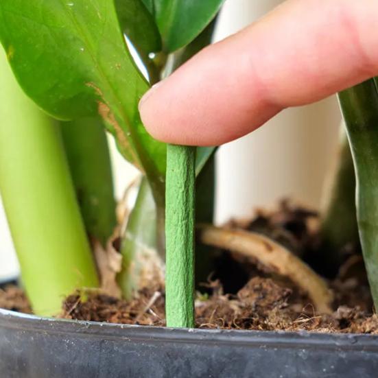 30 Pcs Plant Fertilizer Spikes Slow Release Nutrition Bars Planter Insert Fertilizer Sticks for Indoor Flower And Foliage Houseplants