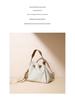 2025 Minimalist High-End Women's Versatile Commuter Handbag - Lucky Fashion Shoulder & Crossbody Bag