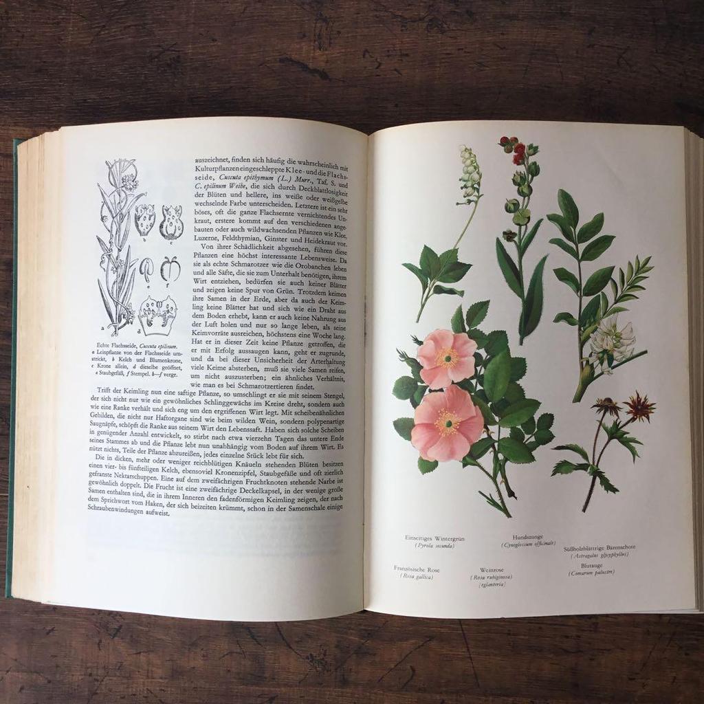 [Б/У] Иностранные книги Немецкие энциклопедии растений Винтажные книги Ботанические