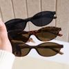 Small Frame Oval Sunglasses for Women Men Fashionable Retro Leopard Print Sun Glasses Personality UV400 Eyewear