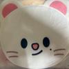 sealed) Baby Genie Let Uchiwa Hyunjin