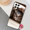Cute Cat Animals Kitten Case For Samsung Galaxy M12 M32 M52 M15 M35 M55 M31 M56 M36 M16 M06 M13 M33 M53 M14 M34 M54