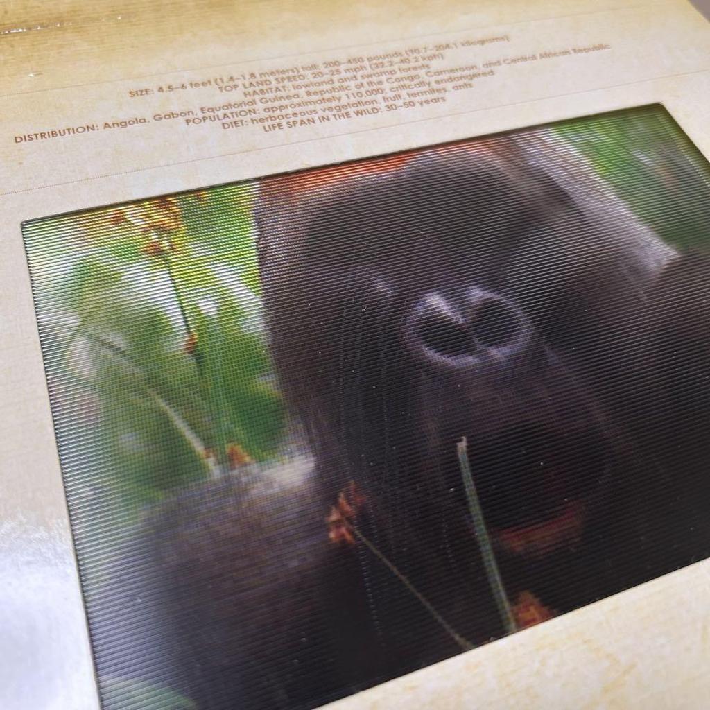 [Б/У] Книжка-панорамка САФАРИ