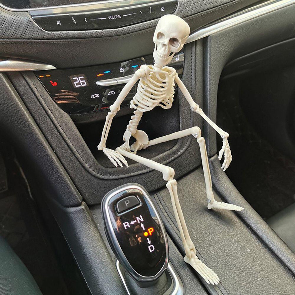 Decoration Skeleton Anatomy Skeleton Human Skeleton Model Car Decoration People Active Model