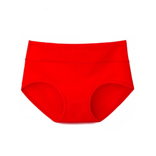 Women's Panties High Waist Seamless Sexy Underwear Natural Cotton Briefs