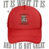 Raccoon sitting chair not great Baseball Cap Anime Graphic Hats Adult Unisex Women Sports Outdoor