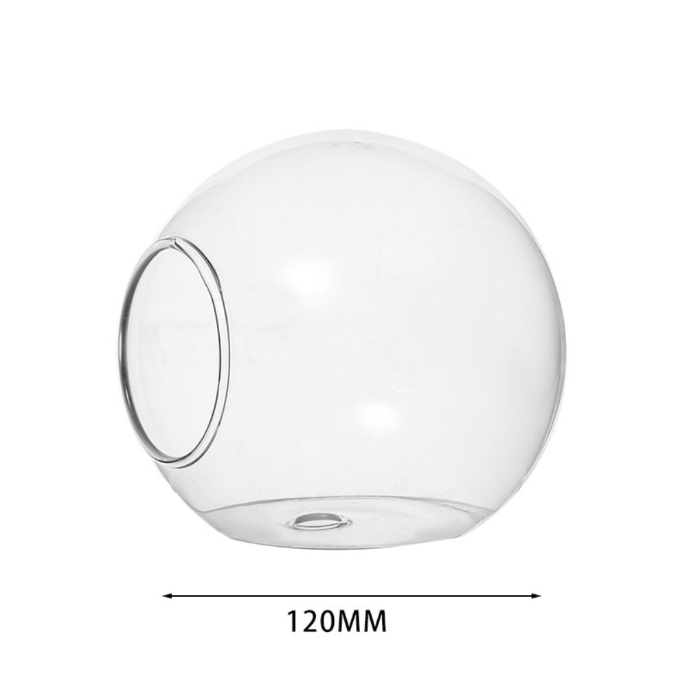 Террариумный контейнер, бутылка для цветов, суккулентное растение, ваза для гидропонных растений