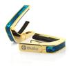 Thalia Capos Exotic Shell ANGEL WING Капотаст-гитара с 12-дюймовым накладным грифом ANGEL Series/TEAL (КРЫЛО 24К ЗОЛОТОЕ/БИРЮЗОВОЕ)