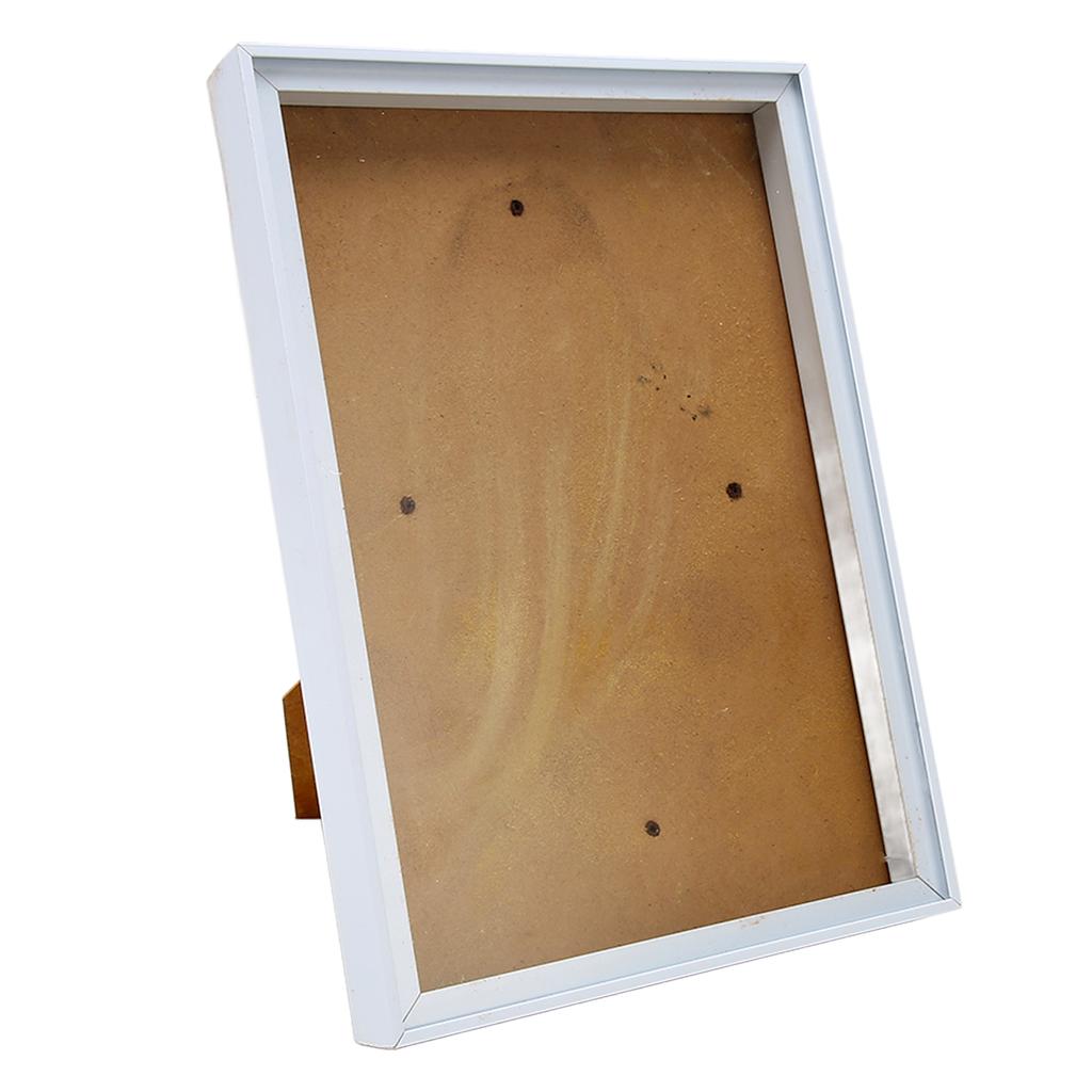 Picture Frame with Bracket sy to Disassemble Plastic Decorative Photo Frame for Dried Flowers Shells