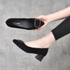 Pointed Autumn New Black Temperament Thick Heel Small Single Shoes Sheepskin Square Buckle Shallow Mouth Women's Shoes