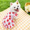 Princess Skirt Dog Dress for Small Dogs Cute Summer Clothes Thin Puppy Chihuahua York Clothing Pet Fashion Accessory