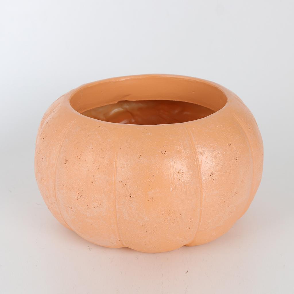 Cushaw Halloween Decorations Scene Arrangement Flower Pots Garden Decoration