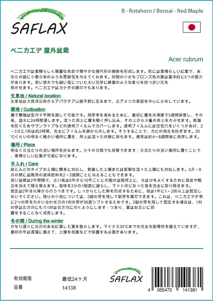 SAFLAX Бонсай - Красный клен - 20 семян - С горшечным субстратом для лучшего выращивания - Acer Rubrum