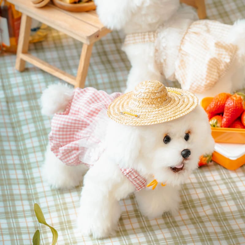 [Питомец] Прекрасный цельный L