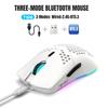 ZIYOU LANG T66 Wireless Gaming 1000Hz Report RGB DPI White Mouse, Rate, Illumination, 5-Level Adjustment, 90g,