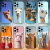Смешные Животные А-Альпака Чехол для Телефона Для iPhone17,16,15,14,13,12,11 Plus,Pro Max Мягкий Черный Чехол