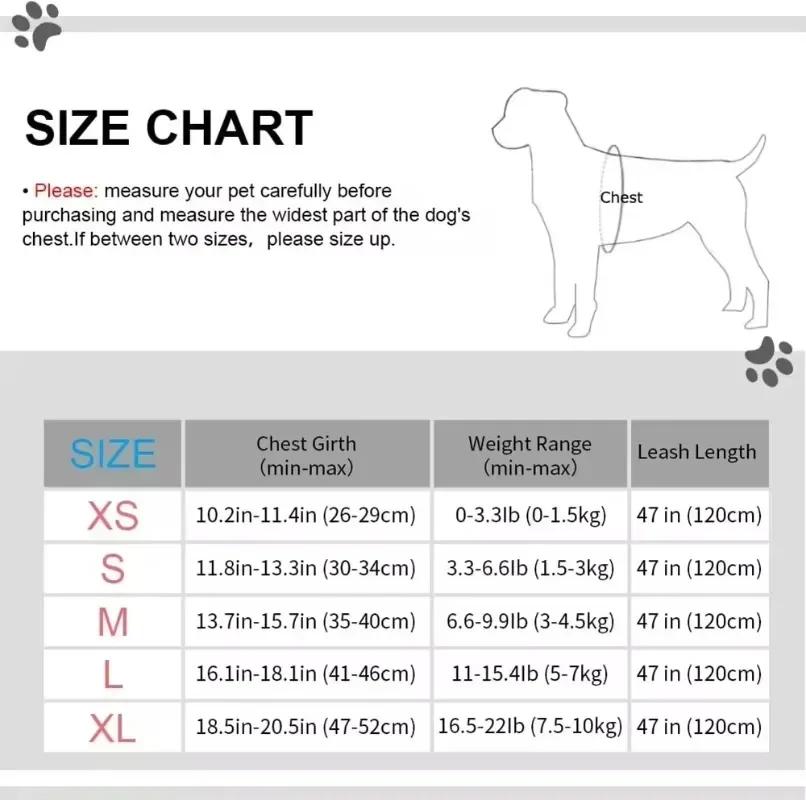 Мягкий сетчатый комплект шлейки для собак и кошек, светоотражающий поводок для прогулок, дышащий жилет для щенков для маленьких и средних домашних собак, йоркширский терьер