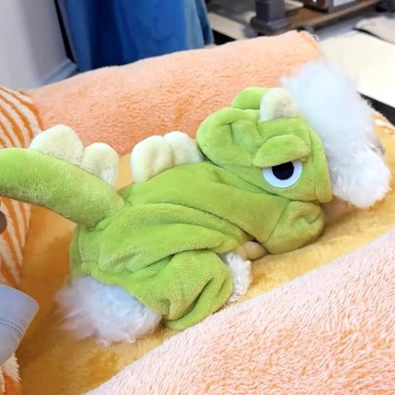 New Small Dinosaur Transforming Dog Clothes Autumn Winter Flannel Warm Teddy Cat Pet Clothes Dog Jumpsuits Rompers