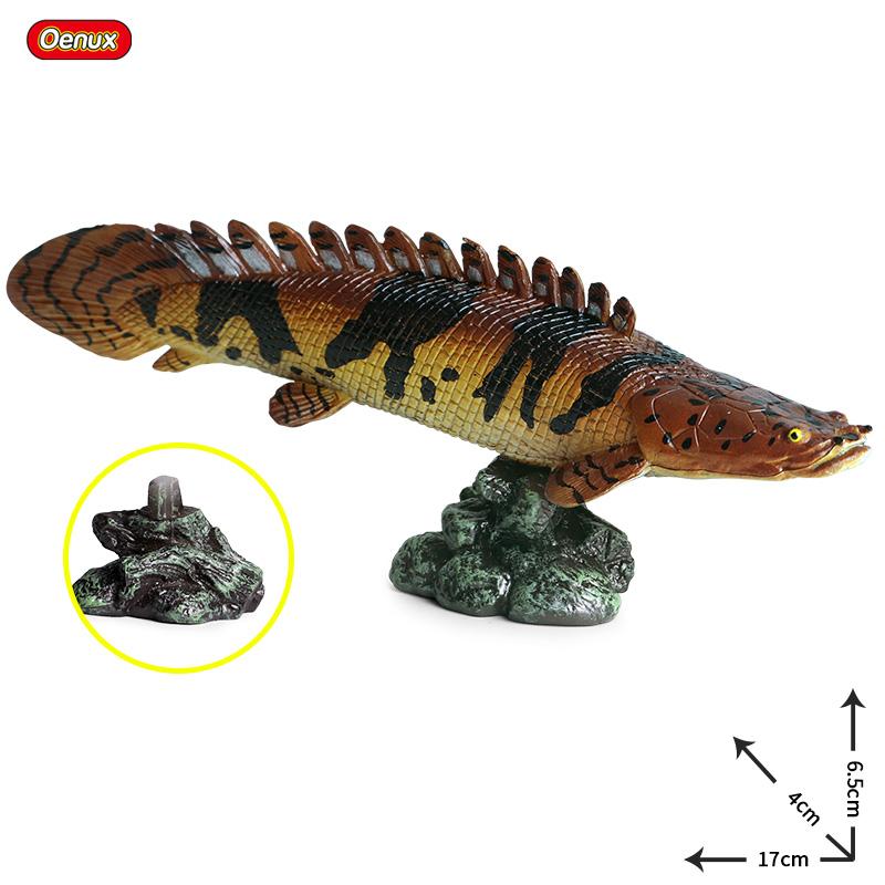 Oenux Модель Морские Животные Фигурки Экшн Океанские Рыбы Парусник Окунь Групер Лосось Фигурки для Аквариума ПВХ Обучающая Детская Игрушка