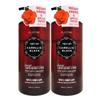 Elastine Camellia Black Damage Repair Shampoo 1L, 2 Ea.
