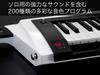 KORG Keytar синтезатор сценическая клавиатура питание от батареи 2WH глянцевый белый RK-100S
