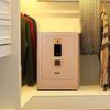 ZF60 Smart Anti-Theft Home Security Safe