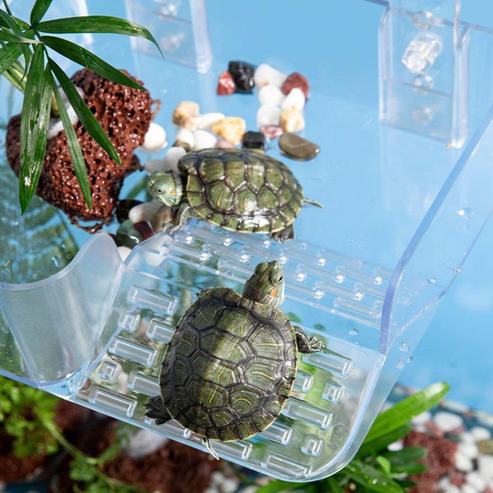 Transparent Acrylic Turtle Sunbathing Platform with Basking Area Suction Cup Turtle Drying Platform Floating Dock