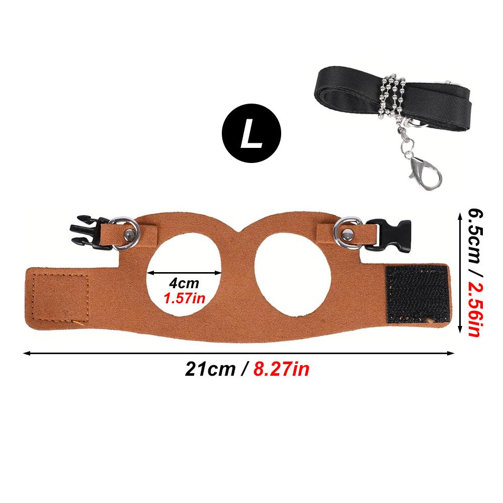 1 Set Pet Squirrel Harness with Leash Adjustable &  Harness Leash Set for Small Animals Outdoor Training Walking