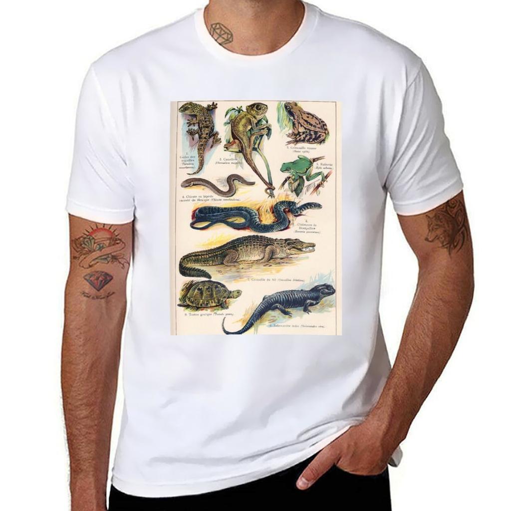 Vintage french biology illustration Quillet Reptiles TShirt Lightweight Casual Summer TShirt