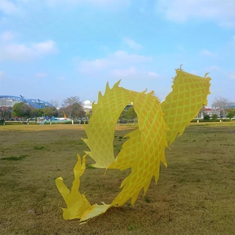 8 метров 3D Голова Дракона Фитнес-танец Двусторонний Цветной Шелковый Сценический Реквизит Новогодние Подарки Танцы на Открытом Воздухе Родительско-Детский Спорт