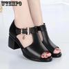 Black Hollow Leather Boots Peep Toe Women's Sandals Thick Heeled Roman Shoes Mid Heel High Heels Comfort Simple Spring Summer