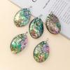 1Pc, Luxury Natural Abalone Shell Pendant, Bohemian Oval Charms for DIY Unique Necklace Keychain Accessories or Creative Jewellery Making Crafts Gift