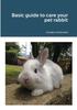 Книга Basic Guide To Care Your Pet Rabbit