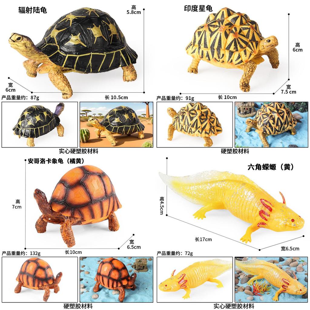 Модель морской жизни: кальмар, краб, черепаха, саламандра, рыба-сабля, лососевая акула для обучения детей