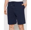 Шорты спортивные Polo Ralph Lauren 714844761003