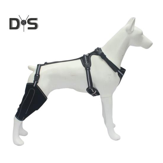 Фиксатор колена для задней ноги собаки Фиксатор колена для бедра собаки Поддержка передней крестообразной связки при дисплазии тазобедренного сустава у собак Артрит Вывих коленной чашечки