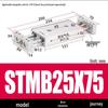 Pneumatic Adjustable Double Shaft Slide Table Cylinder, STMB10/16/20/25-100/125/150/200