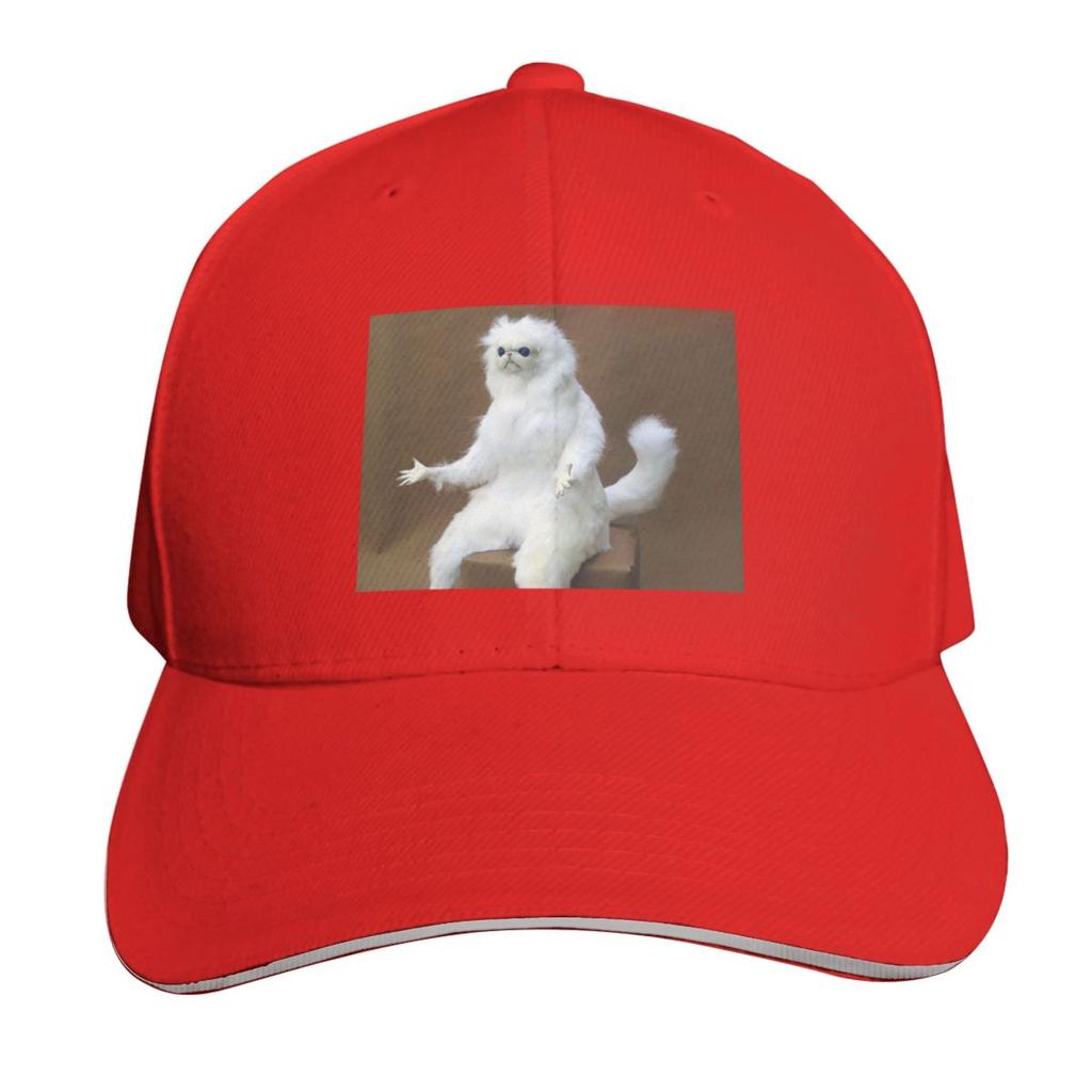 Persian Cat Room Guardian Baseball Cap black Dropshipping Big Size Hat winter hats for Unisex Unisexs Womens