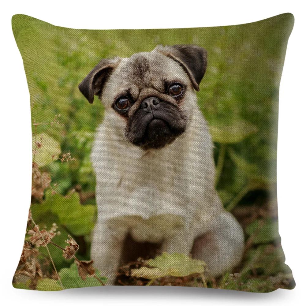 Both Sided Pug Dog Print Cushion Cover Decoration Pet Animal Pillow Case for Sofa Home Car Linen Pillowcase 45x45cm