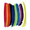 25Pcs Full Length 18-25CM Turkey Feathers for Arrow Multicolor Real Arrow Feather Fletching for Archery Bow Accessories 5