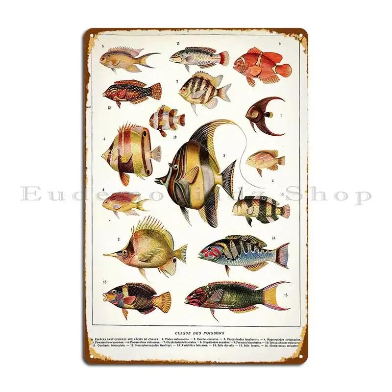 Adolphe Millot Poissons Des Coraux French Vintage Zoology Poster Metal Plaque Poster Custom Customize Garage Tin Sign Poster